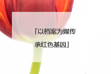 以档案为媒传承红色基因